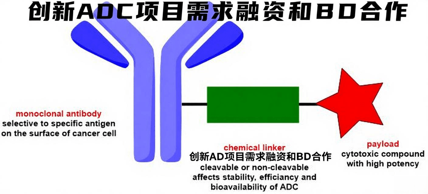 [需求][融资]AI驱动的新一代ADC疗法项目寻求融资与合作，欢迎联系！