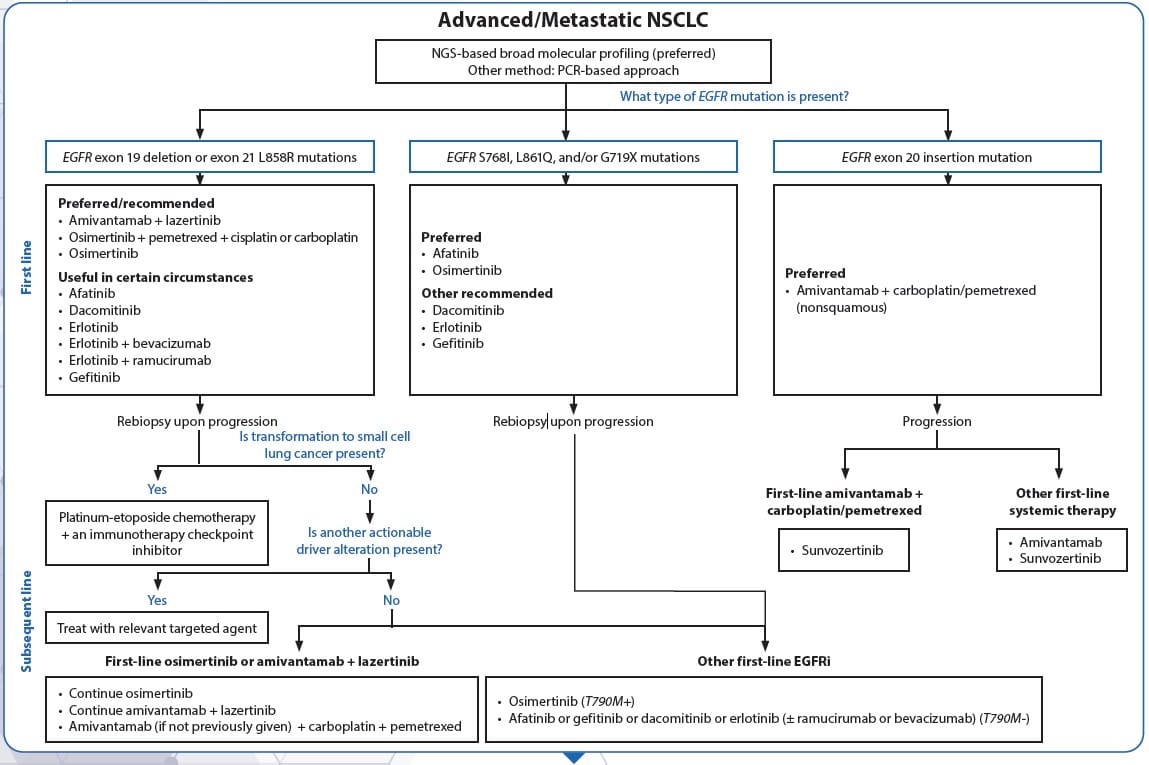 [一图看懂]I-IV期非小细胞肺癌(NSCLC)的EGFR靶向治疗选择路径