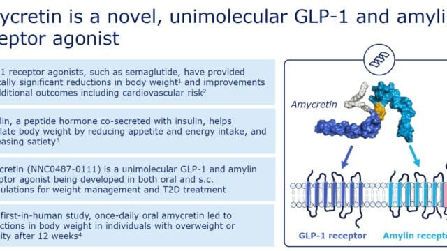 Amycretin-a-novel-unimolecular-GLP-1-and-amylin-receptor-agonist-Results-of-a-phase-1b-2a-clinical-trial