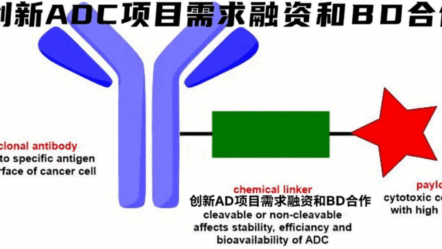 创新ADC项目需求融资和BD合作示意图