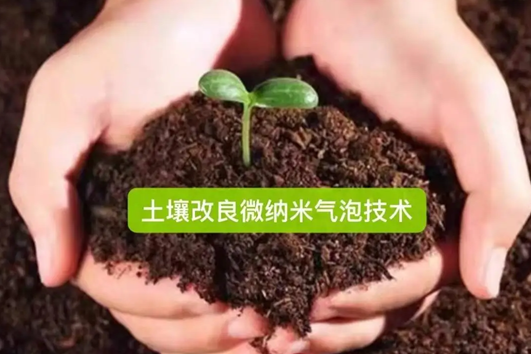 盐碱地改良