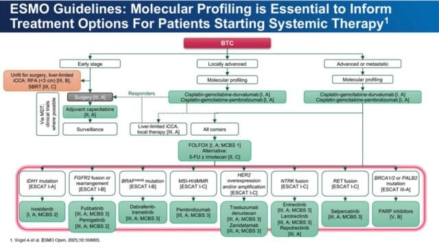 CCA – EMSO guide