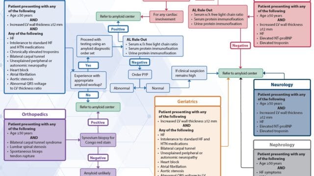 Cardiac Amyloidosis – Multispecialty Comprehensive Approach
