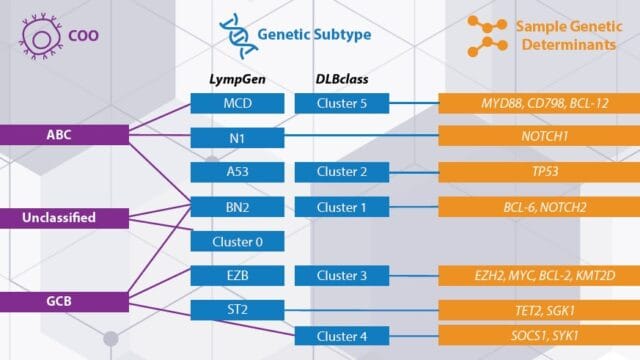 DLBCL – 亚型概述及预后评估