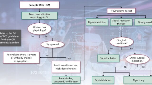 HCM – Treatment Algorithm