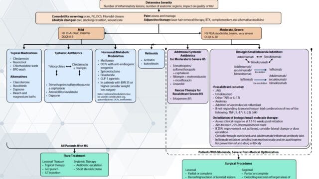 Hidradenitis Suppurativa – Management Algorithm