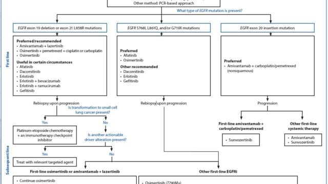 NSCLC – EGFR-Mutated Stage I-IV NSCLC治疗路径