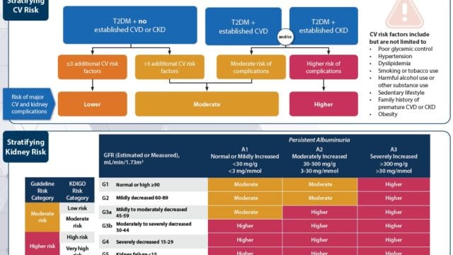 T2DM – Stratifying Cardiovascular and Kidney Risk in PwT2DM